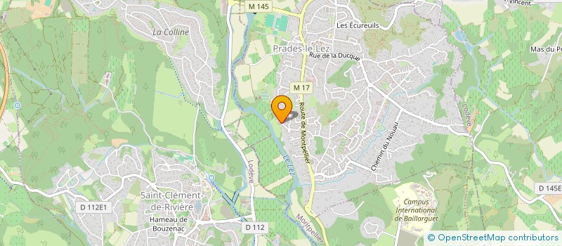 localisation de l'entreprise MONSIEUR BRUNO MERIC  PRADES-LE-LEZ