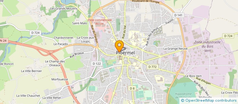 localisation de l'entreprise MONSIEUR BRUNO MICHEL à PLOERMEL
