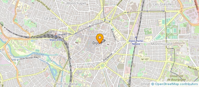 localisation de l'entreprise MONSIEUR BRUNO MORIZOT à DIJON