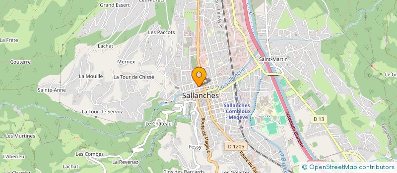 localisation de l'entreprise MONSIEUR BRUNO NEGOCE à SALLANCHES