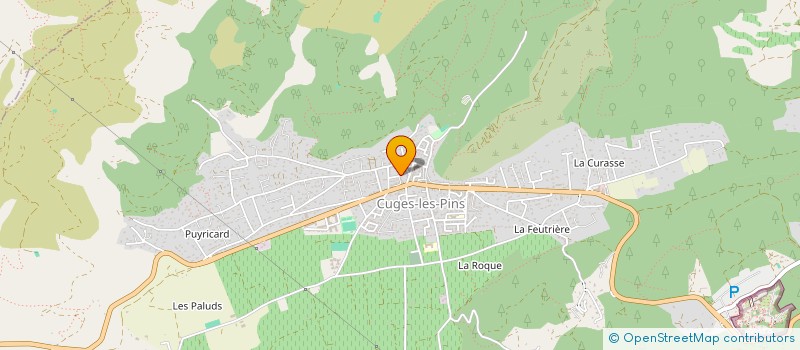 localisation de l'entreprise MONSIEUR BRUNO PACHECO DUARTE  CUGES-LES-PINS