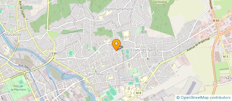 localisation de l'entreprise MONSIEUR BRUNO REIS  SAINT-MAX