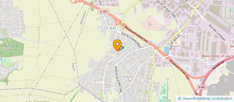 localisation de l'entreprise MONSIEUR BRUNO RESILLOT à CORBAS