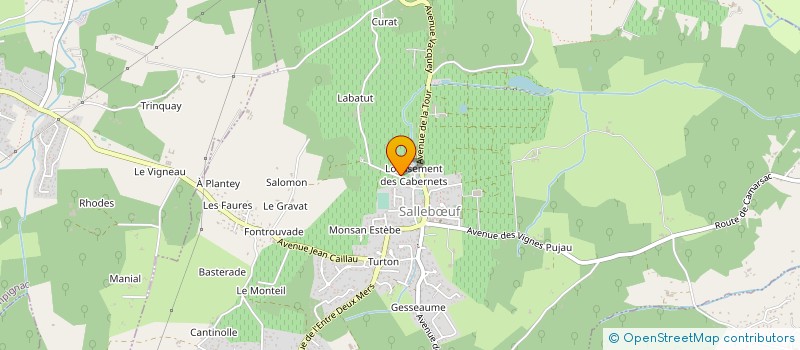 localisation de l'entreprise MONSIEUR BRUNO RODRIGUES  SALLEBUF