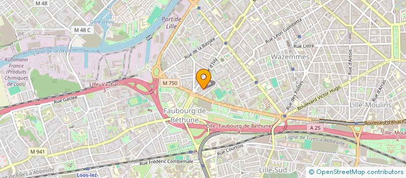 localisation de l'entreprise MONSIEUR BRUNO ROSSETTI  LILLE