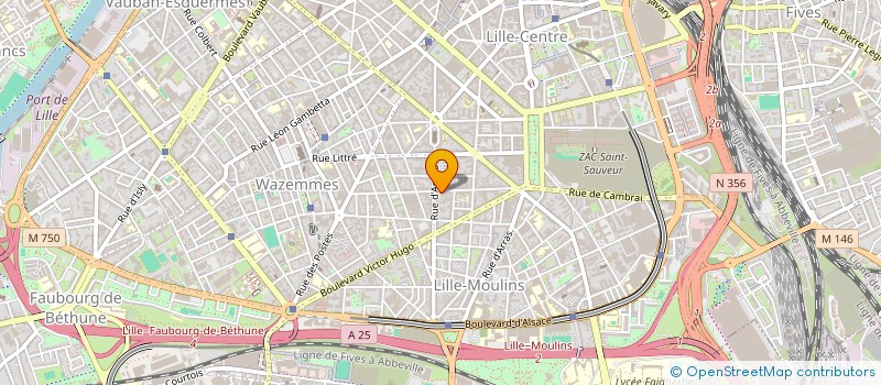 localisation de l'entreprise MONSIEUR BRUNO STERCKMAN à LILLE