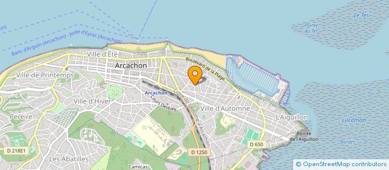 localisation de l'entreprise MONSIEUR BRUNO TACHON  ARCACHON