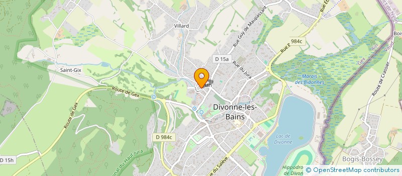 localisation de l'entreprise MONSIEUR BRUNO TESTA  DIVONNE-LES-BAINS