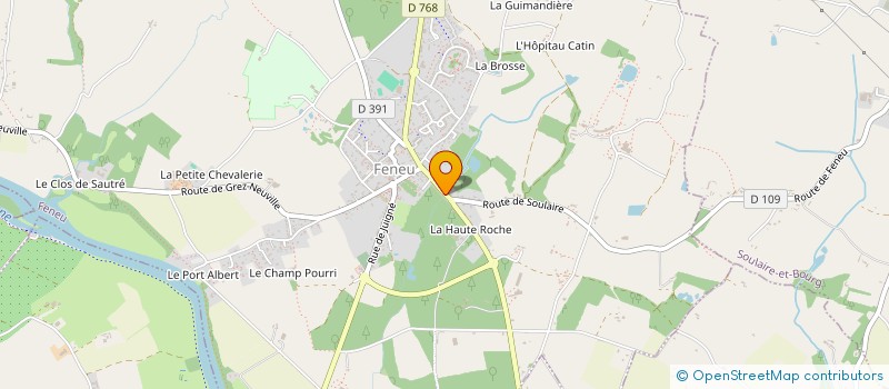 localisation de l'entreprise MONSIEUR BRUNO VICARI  FENEU