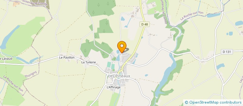 localisation de l'entreprise MONSIEUR BRUNO VIGNERON  LES PINEAUX