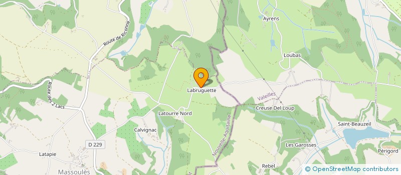 localisation de l'entreprise MONSIEUR BRUNO VIGOUROUX  MASSOULES