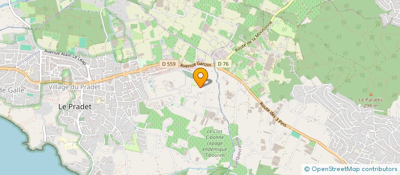 localisation de l'entreprise MONSIEUR BRUNO VIKELAS  LE PRADET