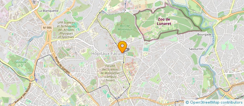 localisation de l'entreprise MONSIEUR BRYAN BESSAUD  MONTPELLIER