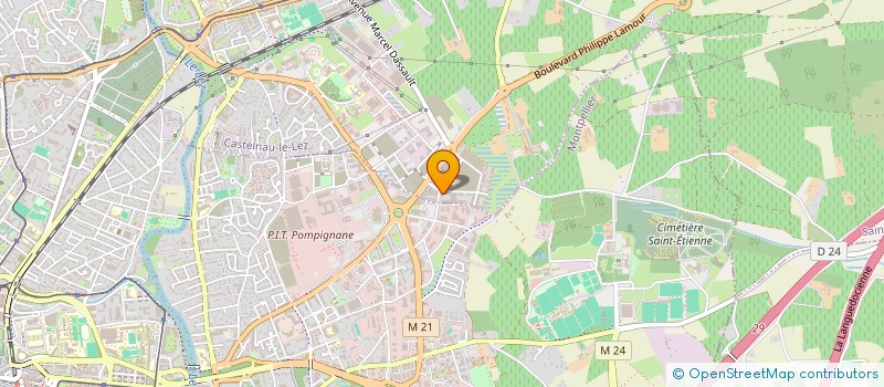 localisation de l'entreprise MONSIEUR BURREL PUEGUO NOUBISSI à CASTELNAU-LE-LEZ