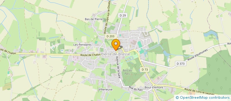 localisation de l'entreprise MONSIEUR CALVIN CANCY  PIERRE-DE-BRESSE