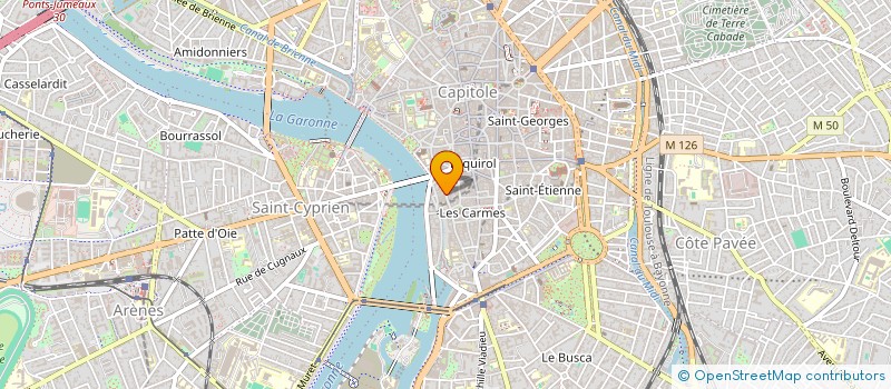 localisation de l'entreprise MONSIEUR CAMILLE BENATRE à TOULOUSE