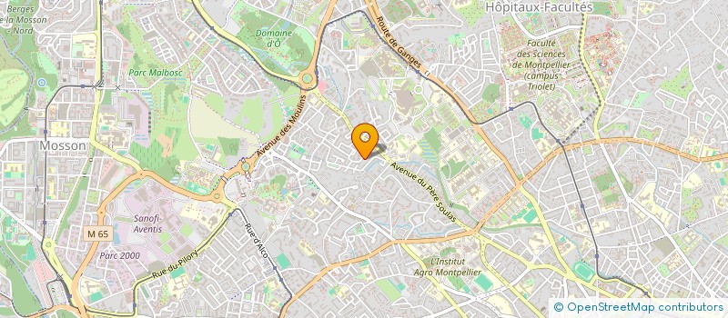 localisation de l'entreprise MONSIEUR CAMILLE LIGNEUL à MONTPELLIER