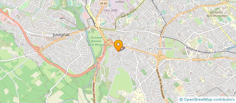 localisation de l'entreprise MONSIEUR CAMILLE MARGER à MONTPELLIER