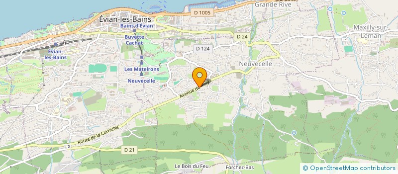 localisation de l'entreprise MONSIEUR CAMILLE MESSNER  NEUVECELLE