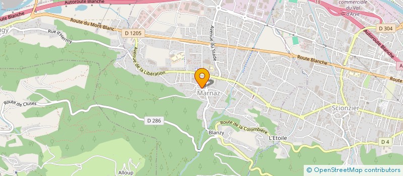 localisation de l'entreprise MONSIEUR CAMILLE MIOLLANY  MARNAZ