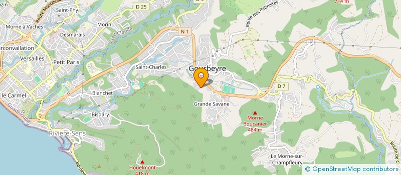 localisation de l'entreprise MONSIEUR CAMILLE MONTOUT à GOURBEYRE