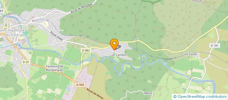 localisation de l'entreprise MONSIEUR CAMILLE REBOUL  SAINT-HIPPOLYTE-DU-FORT