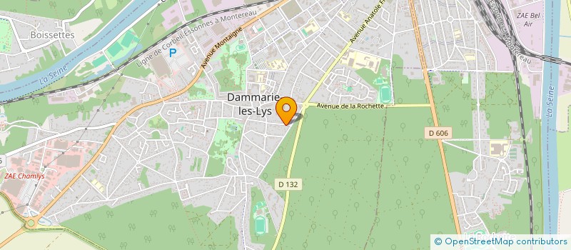 localisation de l'entreprise MONSIEUR CAMILLE SAULNIER à DAMMARIE-LES-LYS