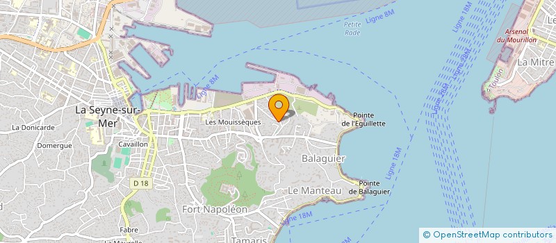 localisation de l'entreprise MONSIEUR CAMILLE VERRILLI à LA SEYNE-SUR-MER