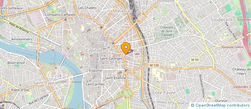 localisation de l'entreprise MONSIEUR CAMILO EMILIO EDUARDO à TOULOUSE