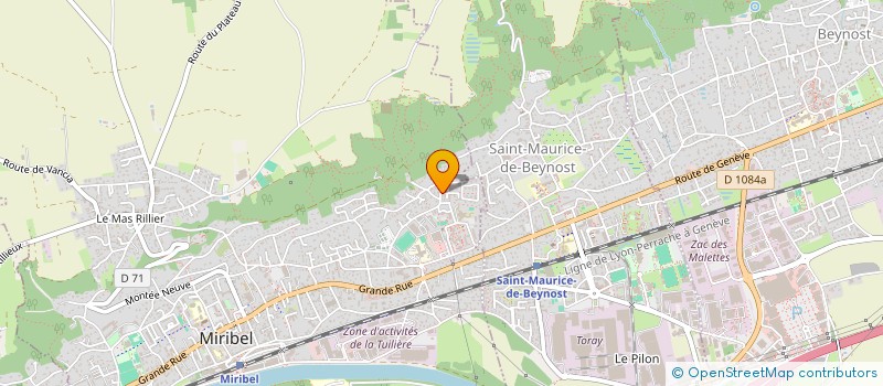 localisation de l'entreprise MONSIEUR CARL DE FREITAS  MIRIBEL