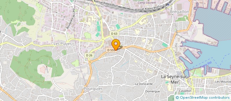 localisation de l'entreprise MONSIEUR CARLITO PEREZ  LA SEYNE SUR MER