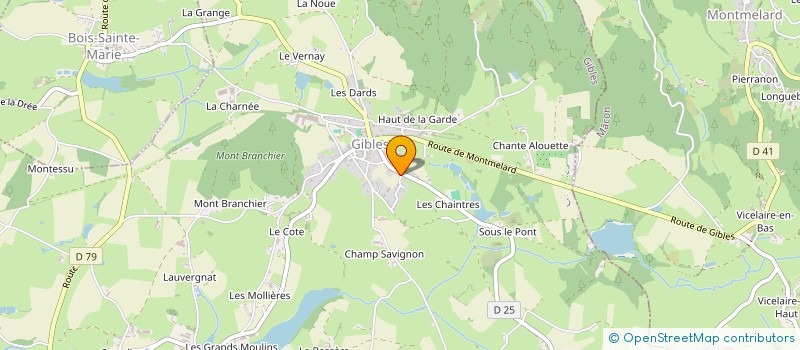 localisation de l'entreprise MONSIEUR CARLOS BARBOSA  GIBLES