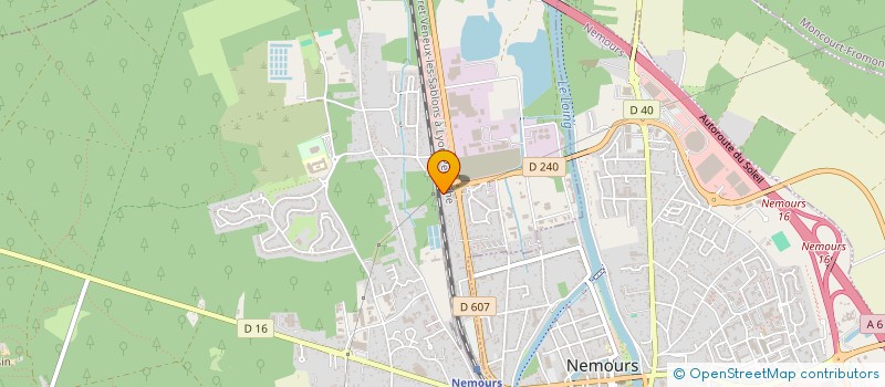 localisation de l'entreprise MONSIEUR CARLOS CASTRO  SAINT-PIERRE-LES-NEMOURS