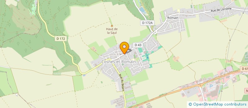 localisation de l'entreprise MONSIEUR CARLOS CORREIA  COSNES-ET-ROMAIN