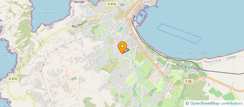 localisation de l'entreprise MONSIEUR CARLOS DA SILVA COUTO à CALVI