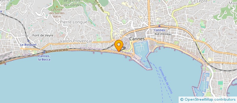 localisation de l'entreprise MONSIEUR CARLOS DUTRA TINE E SILVA à CANNES
