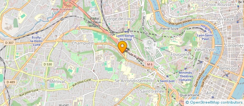 localisation de l'entreprise MONSIEUR CARLOS FERNANDES  LYON