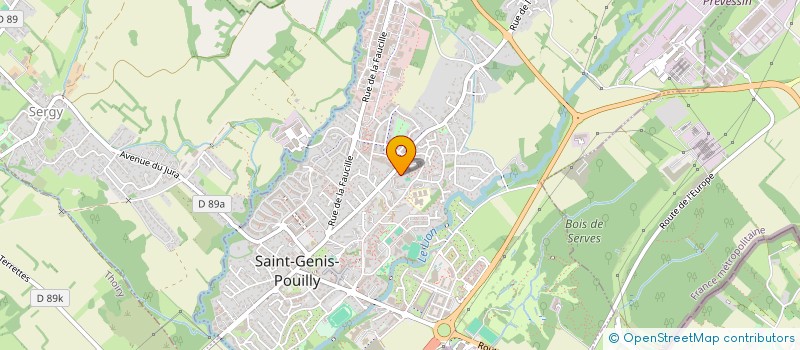 localisation de l'entreprise MONSIEUR CARLOS MARTINS CARDOSO à SAINT-GENIS-POUILLY