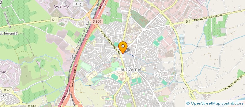 localisation de l'entreprise MONSIEUR CARLOS PARREIRA DE OLIVEIRA  PERPIGNAN