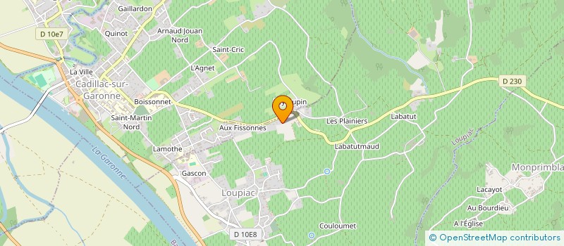 localisation de l'entreprise MONSIEUR CASENAVE PEPAY-CAZENAVE  LOUPIAC