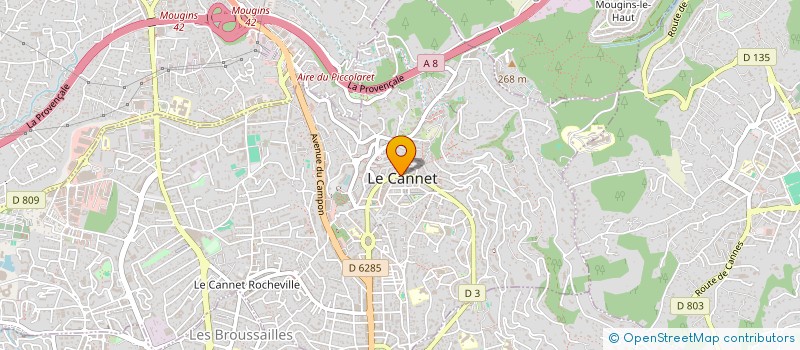 localisation de l'entreprise MONSIEUR CATALIN BODONE à LE CANNET