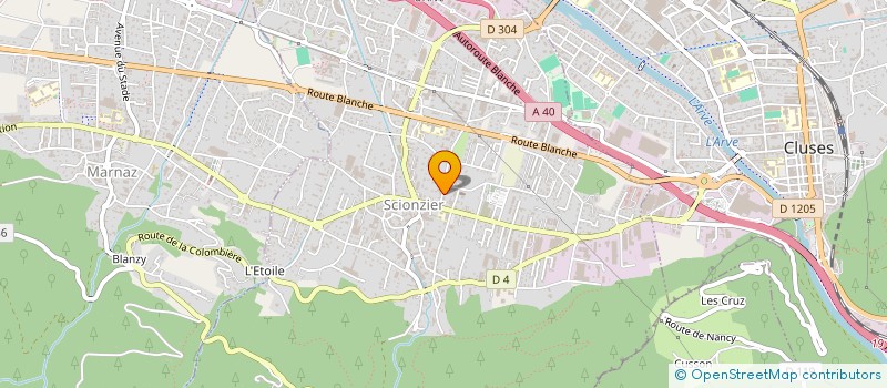 localisation de l'entreprise MONSIEUR CATALIN ENACHE  SCIONZIER