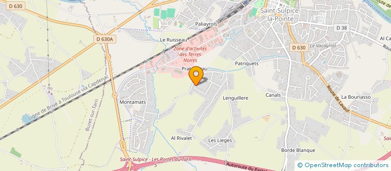 localisation de l'entreprise MONSIEUR CECILIA POITRENAUD à SAINT-SULPICE-LA-POINTE