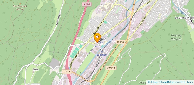 localisation de l'entreprise MONSIEUR CEDRIC ALLAMAND à BELLIGNAT