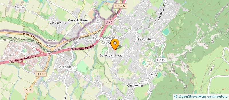 localisation de l'entreprise MONSIEUR CEDRIC AUBRAY  COLLONGES-SOUS-SALEVE