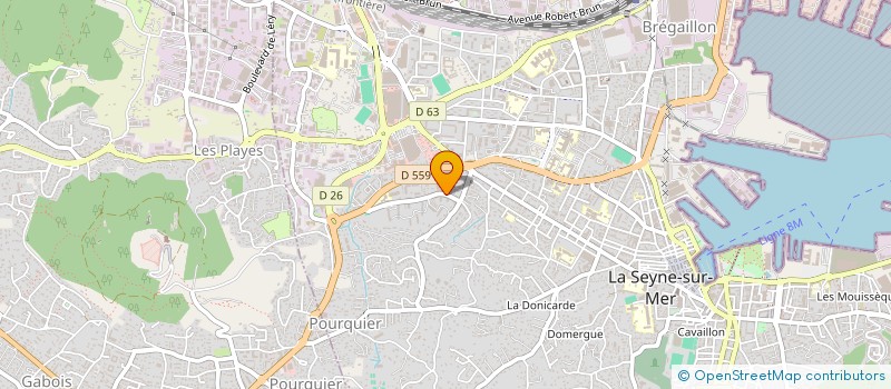 localisation de l'entreprise MONSIEUR CEDRIC BOURG  LA SEYNE-SUR-MER