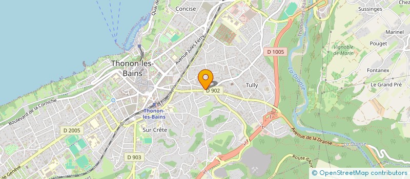 localisation de l'entreprise MONSIEUR CEDRIC CHOISNET à THONON-LES-BAINS