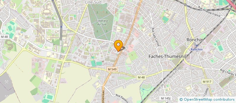 localisation de l'entreprise MONSIEUR CEDRIC DELSKI à LILLE