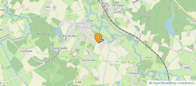 localisation de l'entreprise MONSIEUR CEDRIC DROUIN  SAINTE-CROIX-EN-BRESSE