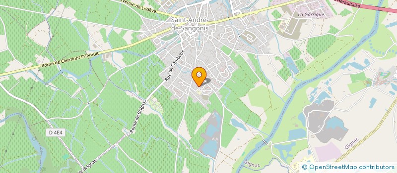 localisation de l'entreprise MONSIEUR CEDRIC DUBUISSON  SAINT-ANDRE-DE-SANGONIS